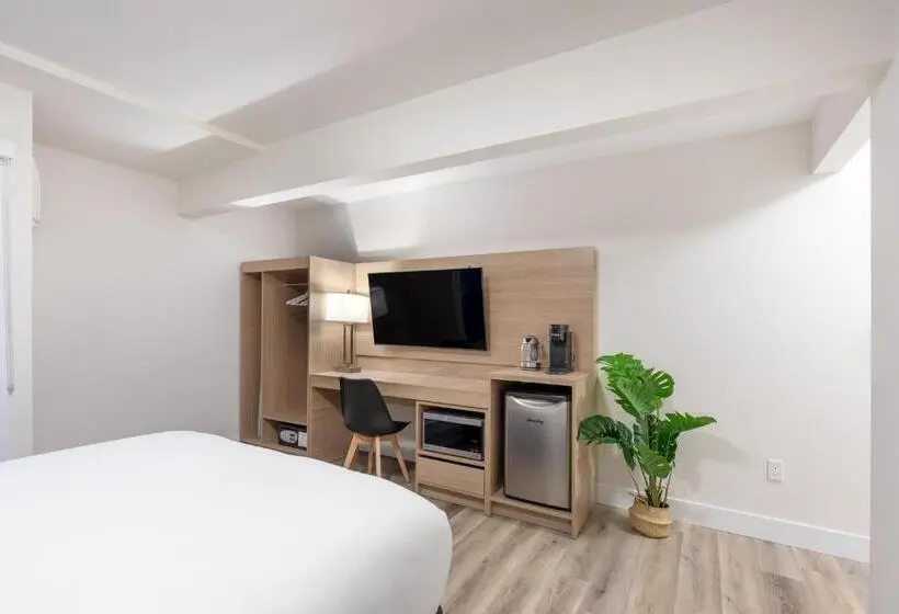 ビュー有りのスタンダードワンルーム, Harrison Grand Motel