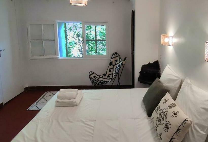 豪华房间, Du Parc