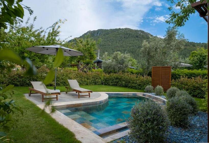 プール付き1ベッドルームヴィラ, Kaya Villas Exclusive