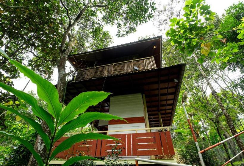 デラックスルーム, Chalona Hill View