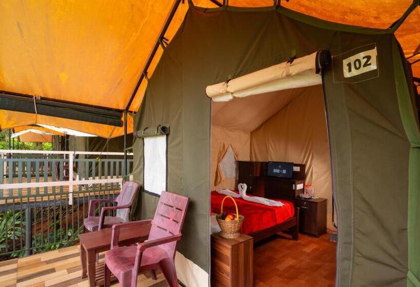 Standard Tent, Chalona Hill View