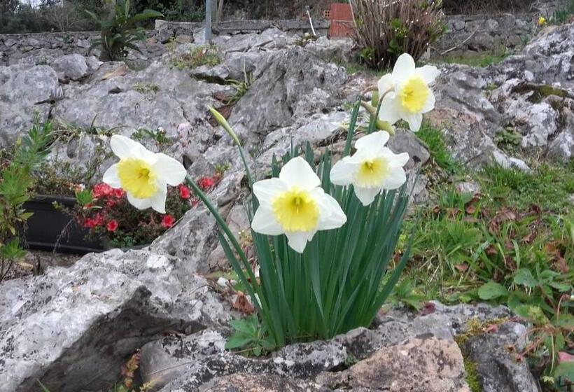 اتاق استاندارد, La Huerta, Megustarural