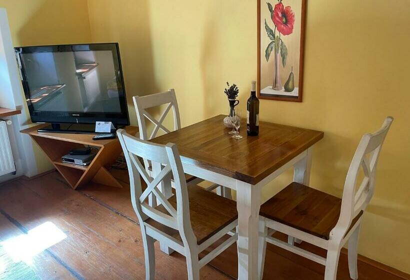 جناح ديلوكس سرير كينج, Penzion Pod Hradbami