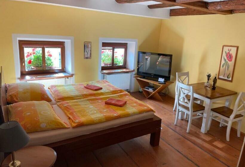 جناح ديلوكس سرير كينج, Penzion Pod Hradbami