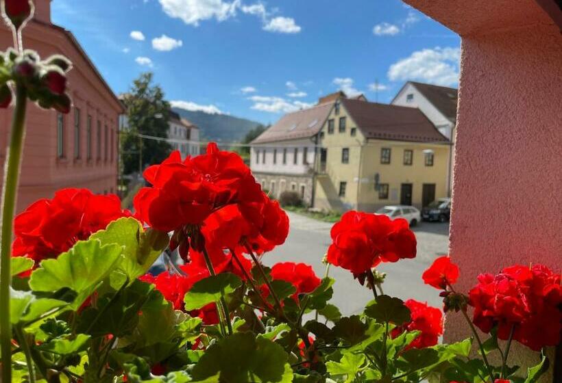 جناح ديلوكس سرير كينج, Penzion Pod Hradbami