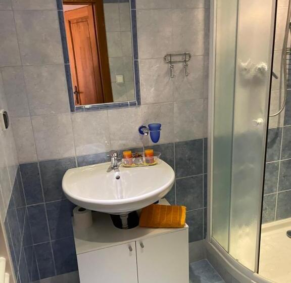 جناح ديلوكس سرير كينج, Penzion Pod Hradbami