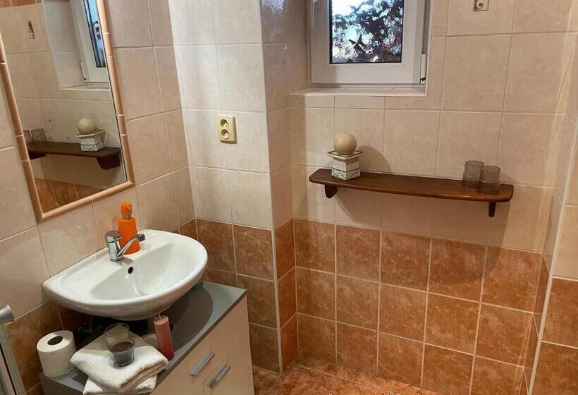 جناح ديلوكس سرير كينج, Penzion Pod Hradbami