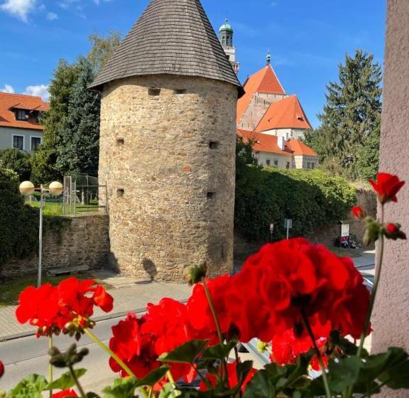 جناح ديلوكس سرير كينج, Penzion Pod Hradbami