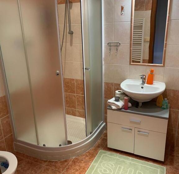 جناح ديلوكس سرير كينج, Penzion Pod Hradbami