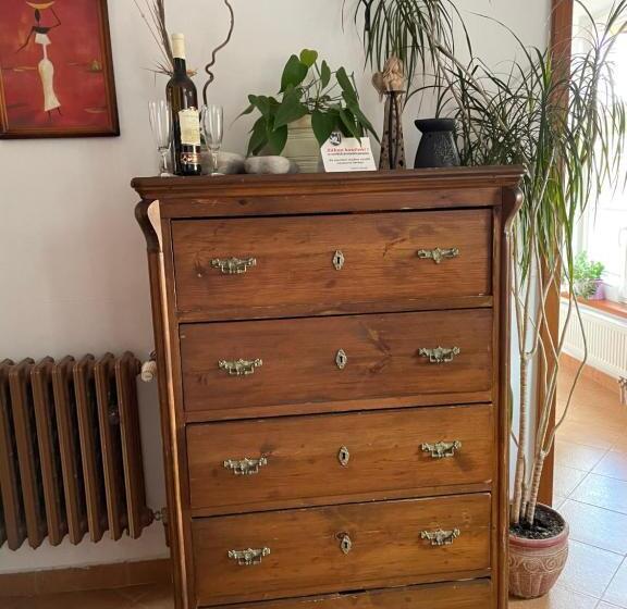 جناح ديلوكس سرير كينج, Penzion Pod Hradbami