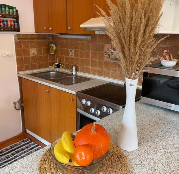 جناح ديلوكس سرير كينج, Penzion Pod Hradbami