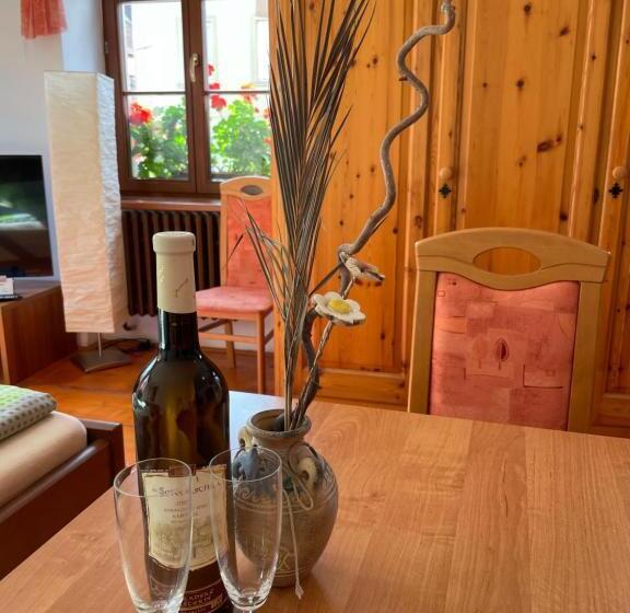 جناح ديلوكس سرير كينج, Penzion Pod Hradbami