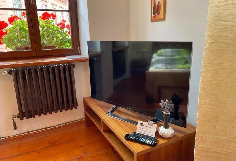 جناح ديلوكس سرير كينج, Penzion Pod Hradbami