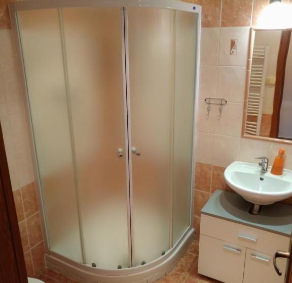 جناح ديلوكس سرير كينج, Penzion Pod Hradbami