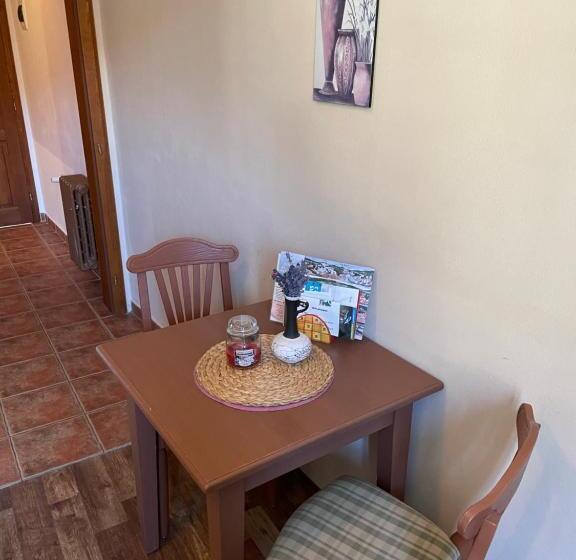 جناح ديلوكس سرير كينج, Penzion Pod Hradbami