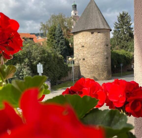 جناح ديلوكس سرير كينج, Penzion Pod Hradbami