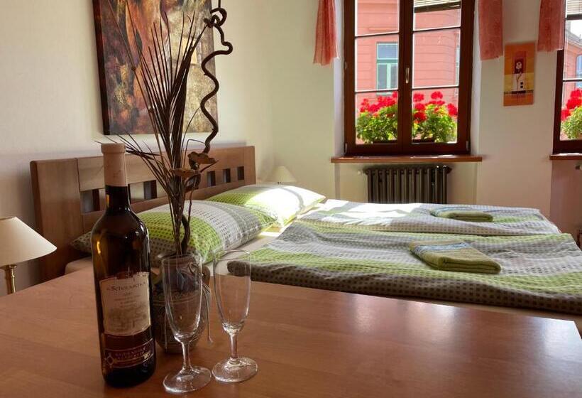 جناح ديلوكس سرير كينج, Penzion Pod Hradbami