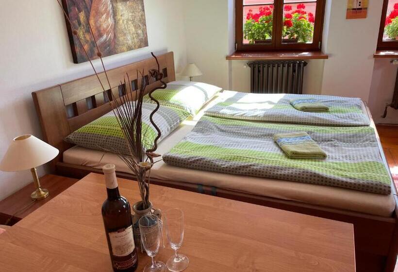 جناح ديلوكس سرير كينج, Penzion Pod Hradbami