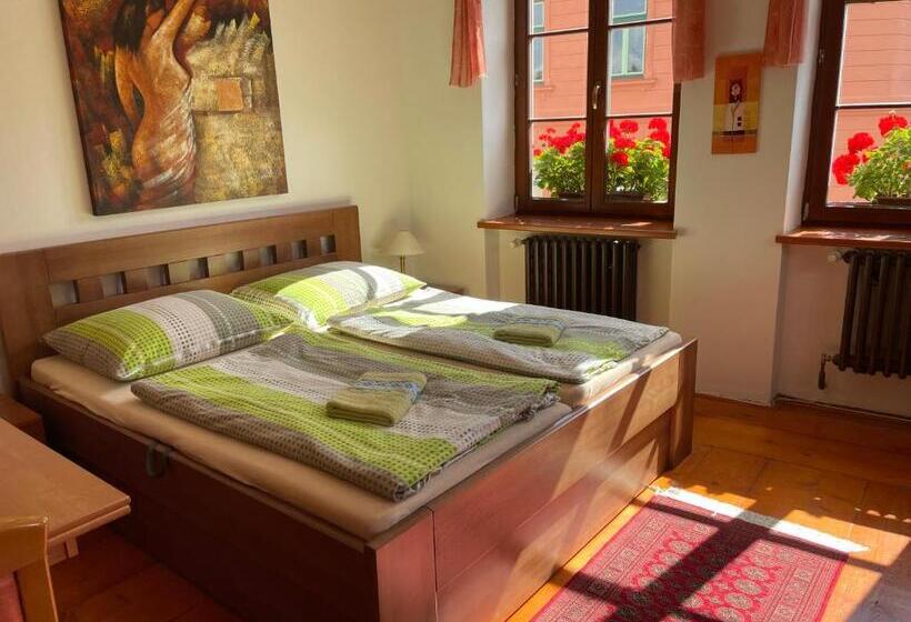 جناح ديلوكس سرير كينج, Penzion Pod Hradbami