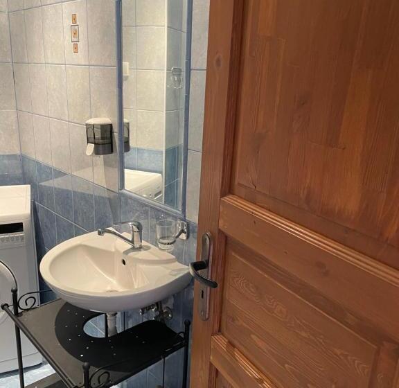 جناح ديلوكس سرير كينج, Penzion Pod Hradbami