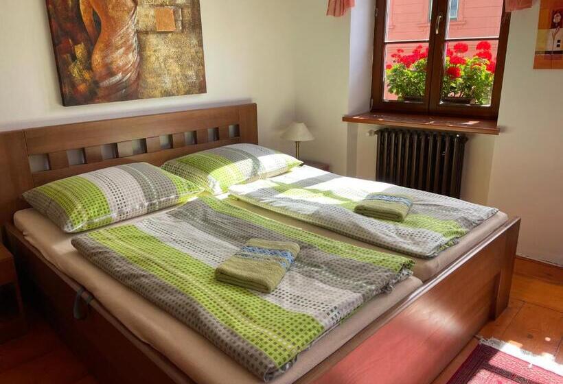 جناح ديلوكس سرير كينج, Penzion Pod Hradbami