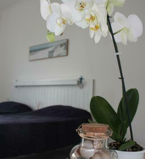 اتاق استاندارد, One More Night