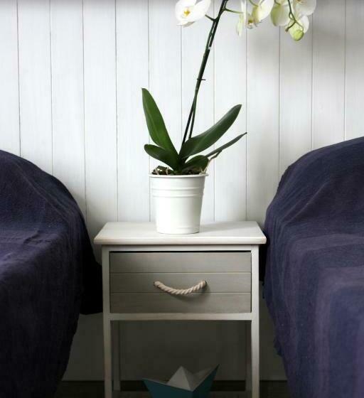 اتاق استاندارد, One More Night