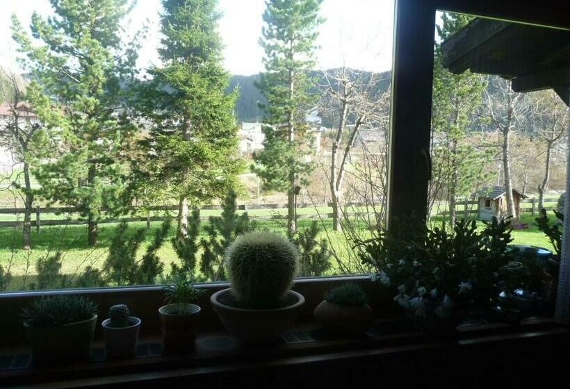 スタンダードルーム, Garni Bonaria