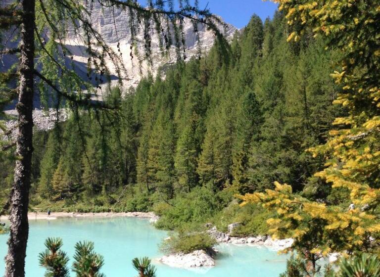 スタンダードルーム, Garni Bonaria