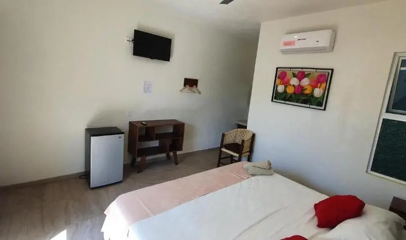 استودیوی استاندارد, Carri Surf Studio