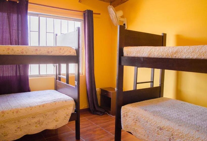 تختخواب در اتاق مشترک, Hostal Alabalti