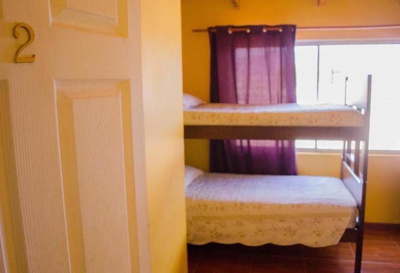 تختخواب در اتاق مشترک, Hostal Alabalti