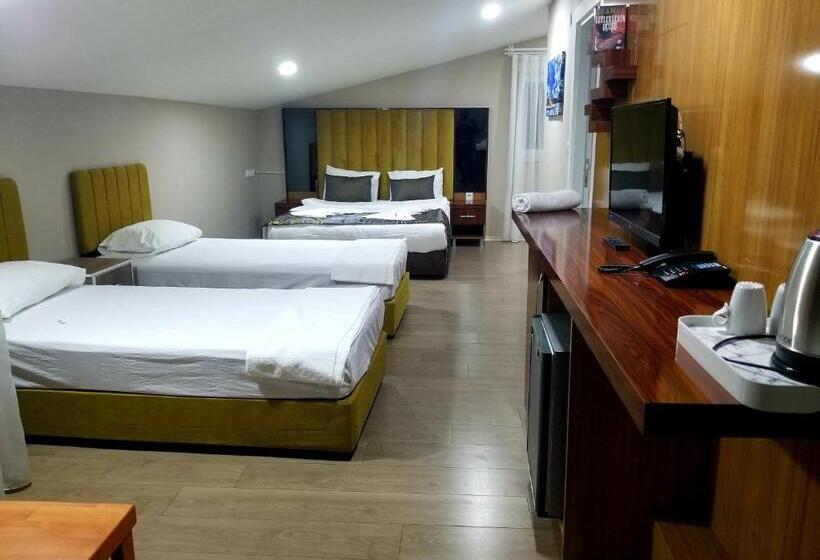 استودیوی استاندارد, Arya Apart Kundu