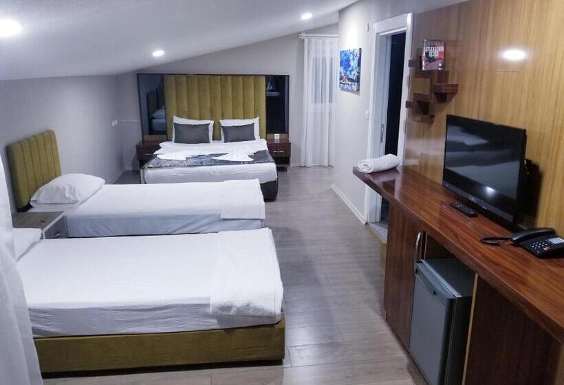 استودیوی استاندارد, Arya Apart Kundu