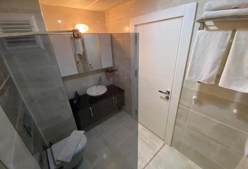 استودیوی استاندارد, Arya Apart Kundu