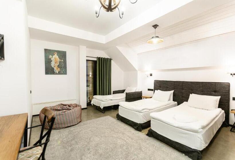 اتاق استاندارد سه نفره, Roshe Gudauri