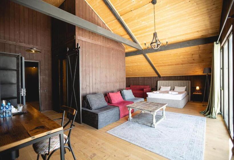 اتاق خانوادگی, Roshe Gudauri