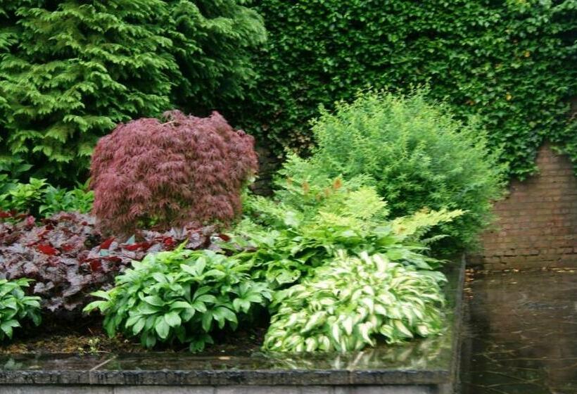 חדר סטנדרט, B&b El Tyu