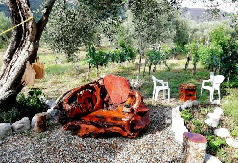 غرفة كلاسيكية رباعية, L Oasi