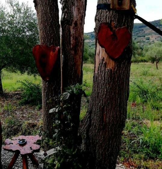 غرفة كلاسيكية رباعية, L Oasi