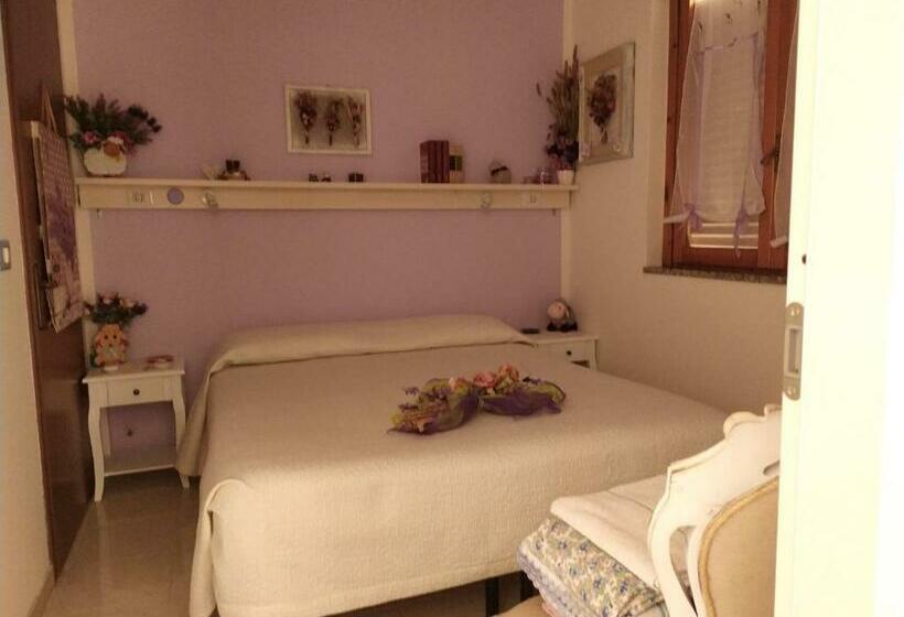 Номер Стандарт, Sa Brobei