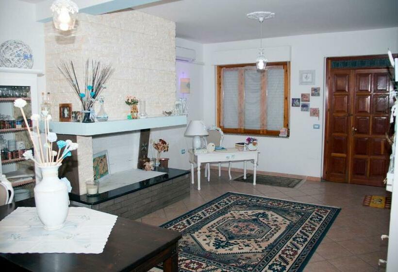 Номер Стандарт, Sa Brobei