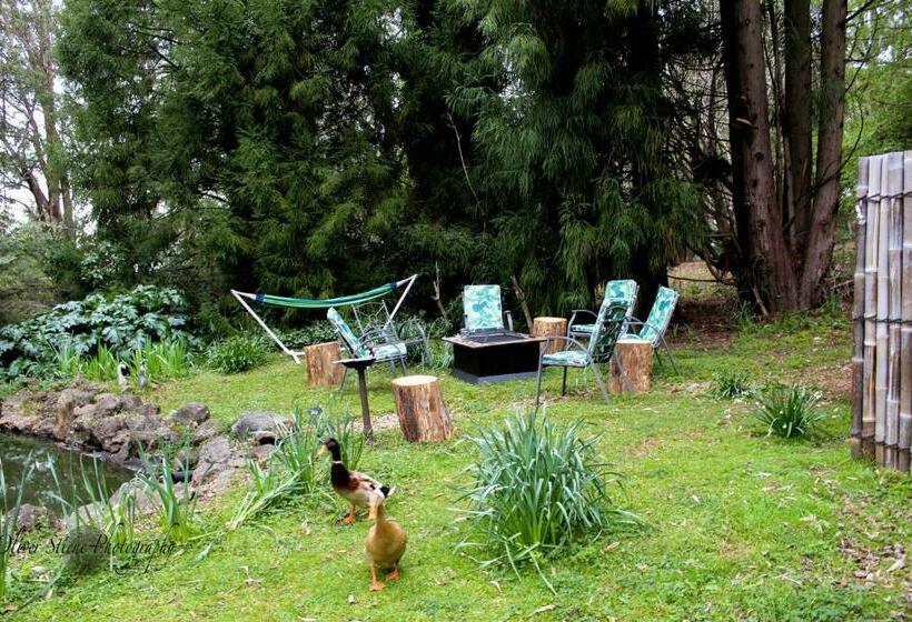 豪华工作室, Tomah Retreat Studio Breathe With Fireplace