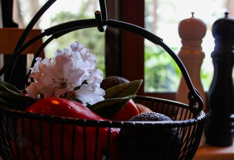 豪华工作室, Tomah Retreat Studio Breathe With Fireplace