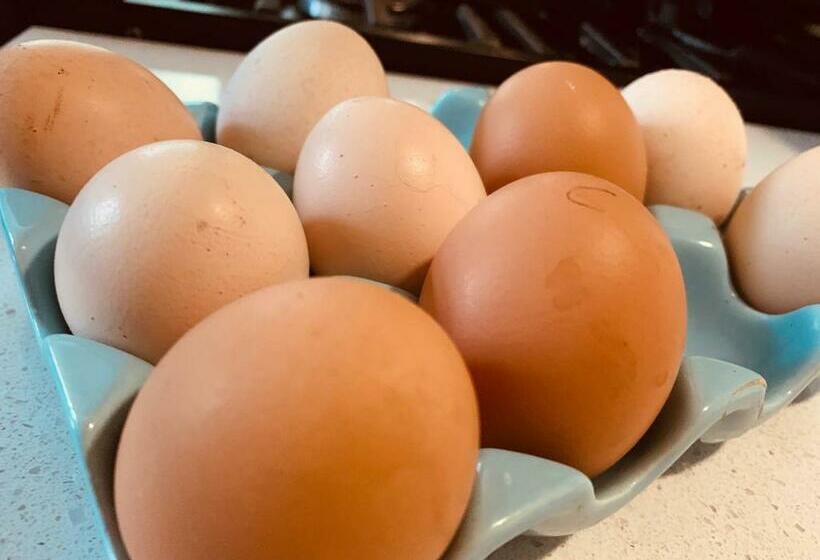 豪华工作室, Tomah Retreat Studio Breathe With Fireplace