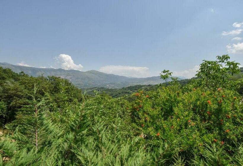 غرفة قياسية, Agriturismo L Antico Casolare