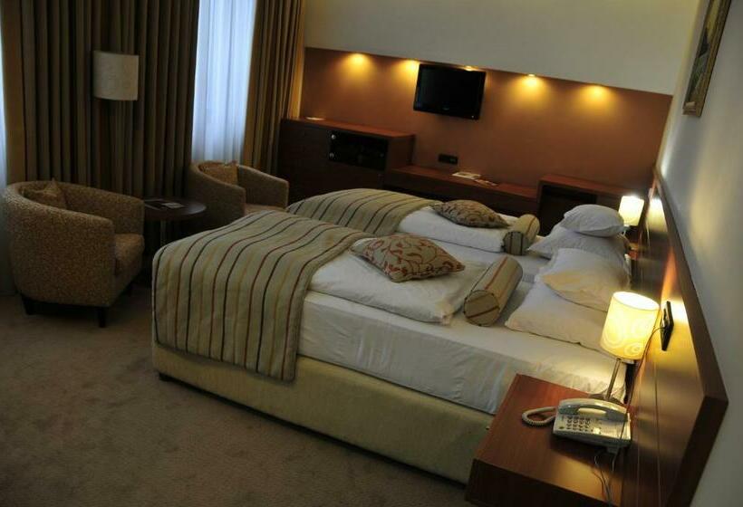 اتاق استاندارد, Central Apartment