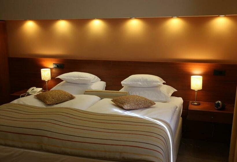 اتاق استاندارد, Central Apartment