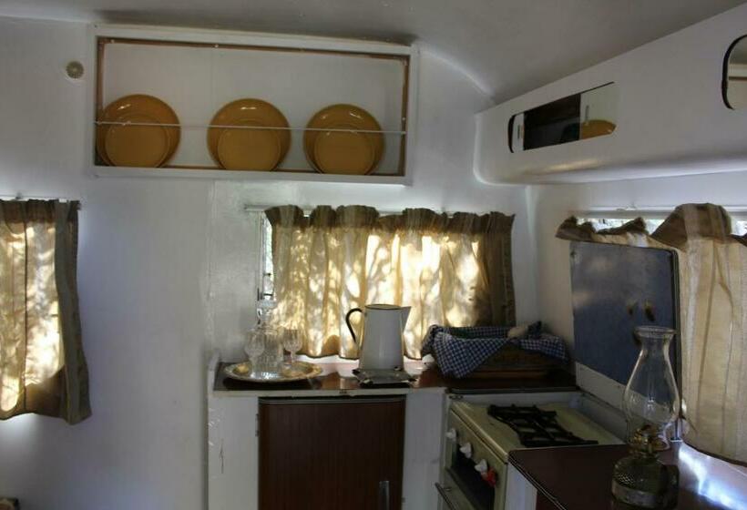 스탠다드 룸, Kameel Rust And Vrede B & B And Camping