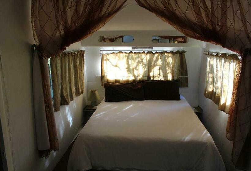 스탠다드 룸, Kameel Rust And Vrede B & B And Camping